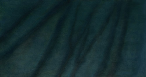 Solanum nr.IV, 40 x 75 cm, Oel auf HDF, 2011